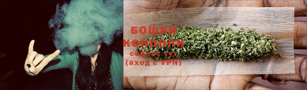 твердый Дмитров