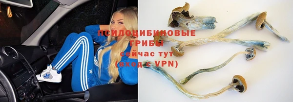 дмт Нязепетровск