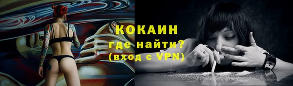 спиды Дмитриев