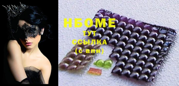 индика Кохма
