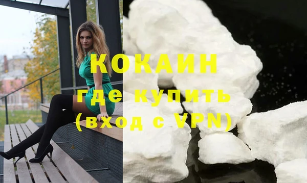 твердый Дмитров