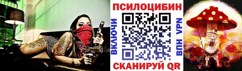 mega как зайти  Няндома  Псилоцибиновые грибы Psilocybe 